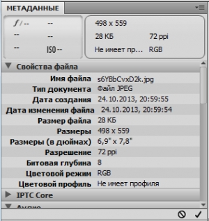 Adobe Bridge CC картинка №20