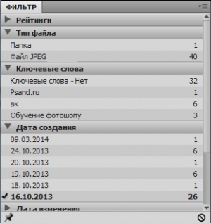 Adobe Bridge CC картинка №22