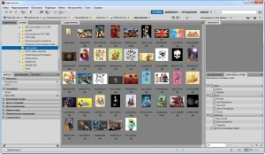 Adobe Bridge CC картинка №4