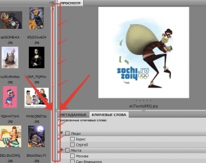 Adobe Bridge CC картинка №16
