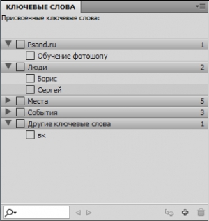 Adobe Bridge CC картинка №21
