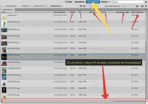 Adobe Bridge CC картинка №10