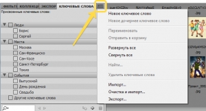 Adobe Bridge CC картинка №17
